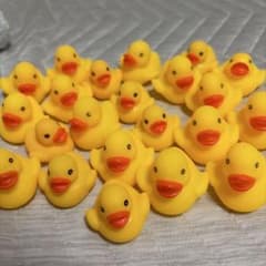 高級アヒルのおもちゃ 22個セットのサムネイル