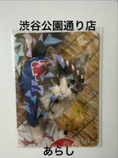 猫カフェMOCHAにゃんずトレカ　あらしのサムネイル
