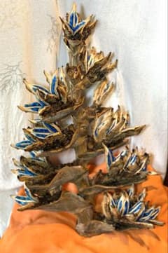 70 旅人の木 10房 今季物 宮古島産 109 旅人の木 10房 特別割引価格 今季物 宮古島産 - メルカリ