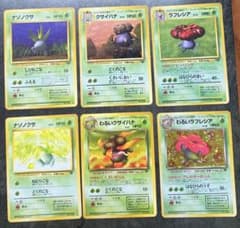 旧裏 ラフレシア わるいラフレシア 進化ライン 6枚セット ポケモン