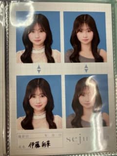 伊藤彩華 証明写真 seju 4枚セットのサムネイル