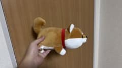 柴犬 ぬいぐるみのサムネイル