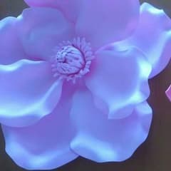 ウォールフラワーのサムネイル