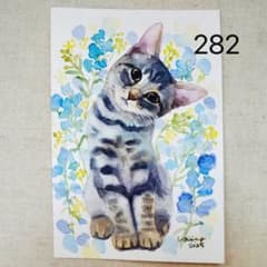 猫の絵 282 水彩画 原画 サバトラ猫 ポストカードサイズ - メルカリ