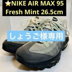 ⭐️NIKE AIR MAX 95 Fresh Mint 26.5cm - メルカリ