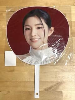 Red Velvet IRENE アイリーン うちわ RtoV in JAPANのサムネイル