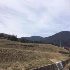 今宮！様専用のサムネイル