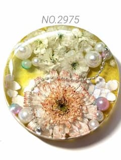 NO.2975明新の花˚✧₊⁎⁺˳✧༚ドライフラワー レジンヘアゴム ブローチ