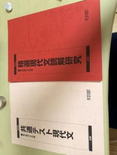 駿台2026年度 共通テスト現代文 精選現代文読解研究のサムネイル