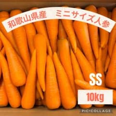【ミニサイズ】採れたて人参　小さめ　10kgのサムネイル
