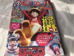 新品・未読本 集英社 ワンピースマガジン 20号 ルフィ プロモ付き 1冊