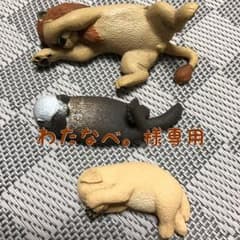 わたなべ。様専用♡のサムネイル