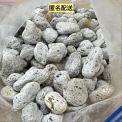 園芸用軽石、鉢底石700g ② - メルカリ