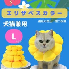 エリザベスカラー　サイズL 手術後　傷口保護　ひまわり　クッションのサムネイル