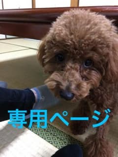 WiiU  専用ページ☆概要欄を必ず読んでくださいのサムネイル