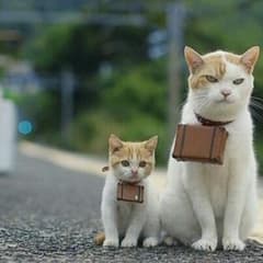 いつき様専用のサムネイル