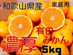 有田みかん　温州みかん　有田産　5キロ　家庭用のサムネイル