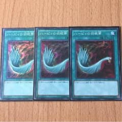 ハーピィの羽根箒のサムネイル