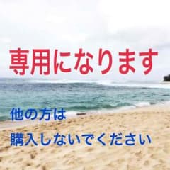 mimiさま専用！！！hanes pack tee japanfitのサムネイル