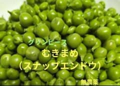 数量限定！グリーンピース 300g むきまめ　甘い！ スナップエンドウのサムネイル