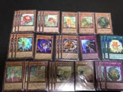 遊戯王イシズナチュル春化精デッキパーツのサムネイル