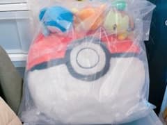 ポケモン 一番くじ A賞 みんなで一緒にゲームクッションのサムネイル