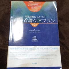 看護診断にもとづく精神看護ケアプラン　第2版のサムネイル