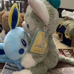 子猫ちゃんの専用roomのサムネイル