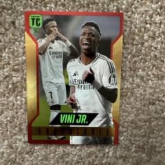 Panini Top Class ヴィニシウス・ジュニオールのサムネイル