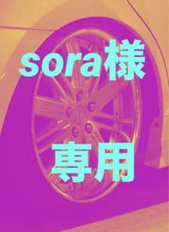 sora様 専用のサムネイル