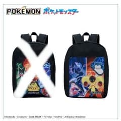 未開封 ポケットモンスター プラチナムザッカビッグポケット リュック B