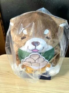 【新品】『 忠犬もちしば 』お月見もぐもぐBIGぬいぐるみ《 あんこ 》