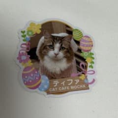 専用のサムネイル