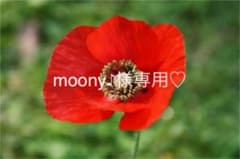 moony♪様専用♡のサムネイル