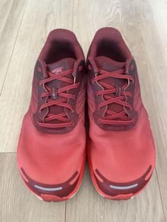 altra rivela2 29cmのサムネイル