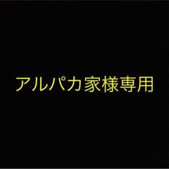 ヴァルキリープロファイルのサムネイル