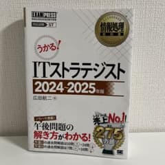 ITストラテジスト 2024-2025年版のサムネイル