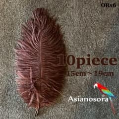 □【ORs6茶】10本15-19cm オーストリッチ フェザー 羽根 - メルカリ