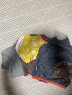 犬服 3点セット フレブルのサムネイル