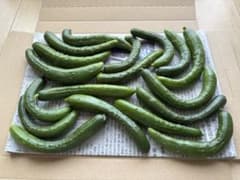 秋田県産　きゅうり　箱込み750g 小さめなきゅうりのサムネイル