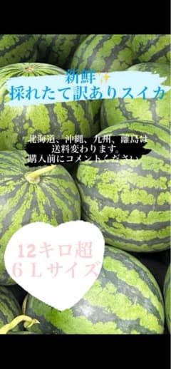《長野県産》売りつくし訳ありスイカ6Lのサムネイル