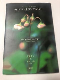 センス・オブ・ワンダーのサムネイル