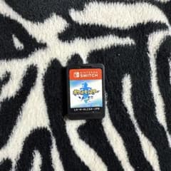 ポケットモンスター ソード Nintendo Switchのサムネイル