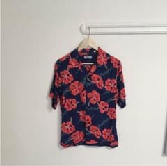 sun surfのサムネイル