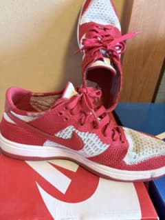 NIKE DUNK FLYKNIT レッド 25cmのサムネイル