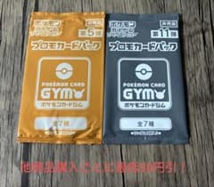 ポケモンカード 未開封 プロモカードパック 2種2パックセット ②