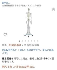 医療用人体模型のサムネイル