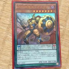 DDD反骨王レオニダス美品のサムネイル
