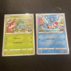 ポケモンカード フシギダネ ゼニガメ プロモ 2枚セット - メルカリ