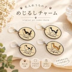 名入れ うちの子めじるしチャーム 猫 オーダーメイドのサムネイル
